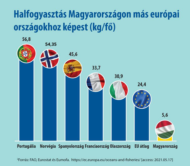 Natural Pharmaceuticals OmegaMarine Junior A kiválasztott európai országok halfogyasztását (kg/fő/évben) bemutató oszlopdiagram. A legtöbb halat Portugália (56,8 kg), Norvégia (54,35 kg) és Spanyolország (45,6 kg) fogyasztja. Ezt követi Franciaország (33,7 kg), Olaszország (30,9 kg) és az uniós átlag (24,4 kg). Magyarország 5,6 kg-mal a végén áll.